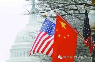 美国困境：西方金属元素遭遇冲击波