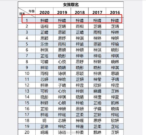 (1) 生肖层面的匹配度评估