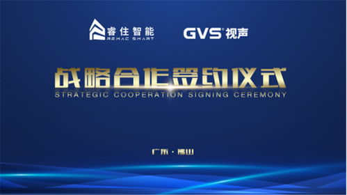 智慧的光芒：睿智如星