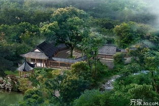 屋后地势高适合种树吗？这是不是风水上的讲究？