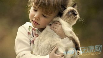 我的独家秘笈！（其实也没那么独家）