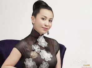 四、 潘美辰：歌坛“摇滚女王”