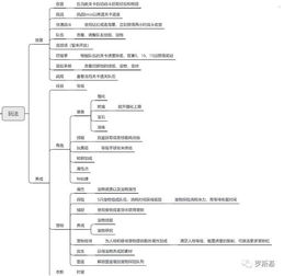 三、十二生肖的风水布局策略详论
