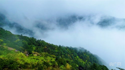 三、 山川形胜：峰峦叠嶂中的传说谱系