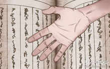 （二） 生命线与感情线的隐喻