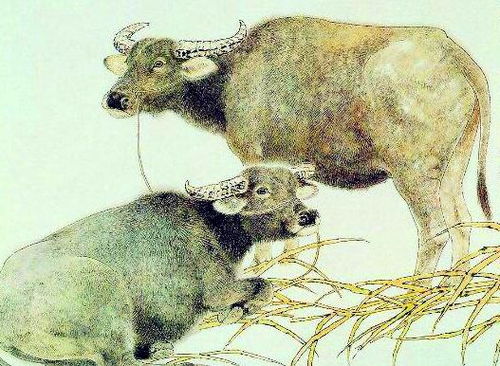 一家三口属牛马羊，这样的属相组合是否吉利？