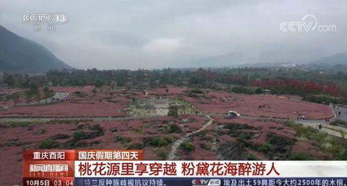 枣庄樱桃园：一个让人又爱又恨的奇葩地方（别问我为什么这么写）