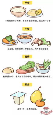生肖蛇：饮食平衡与营养协同的恢复机制