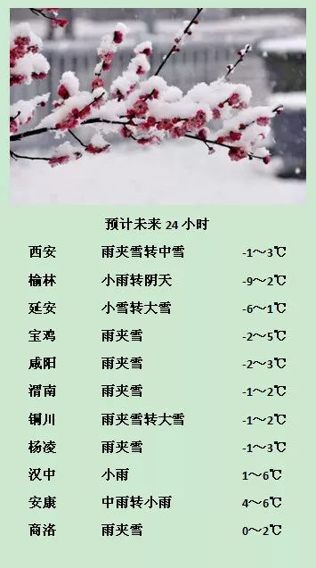1．起源与演变