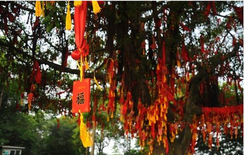 八字年柱带桃花的男命，如何八字桃花在年柱，使其不再影响运势？