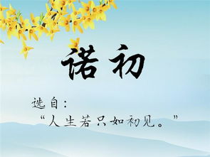 进阶版：“较深度定制”