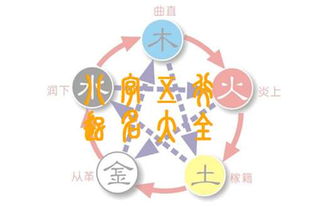 羊年小公主的命格简直了