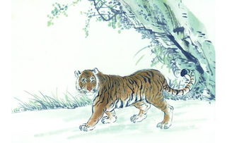 2020年属虎运势详解包括哪些方面？