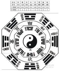 男五阳女七煞究竟是什么命运？解释一下这个命理术语的含义。