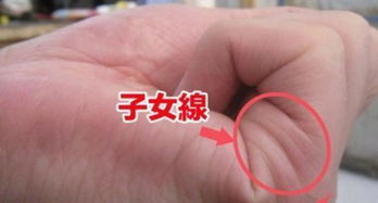 2.1 掌纹特征及其象征意义