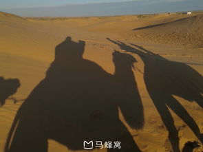 历史持续发展记载与现实映射