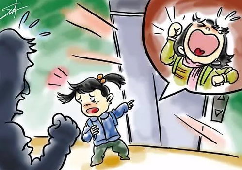 1. 木克土的磁场冲突