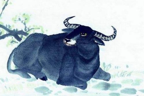 1973年属牛的人2026年会遇到桃花和喜事吗？