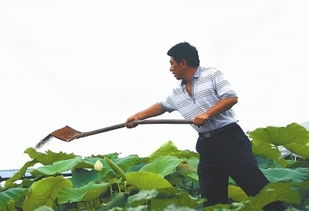 四、律法边界：别闹出官司来