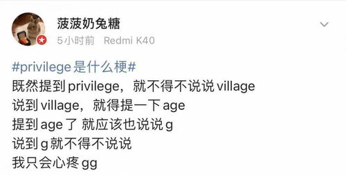 1. 较高欢及其直系子嗣之对比解析