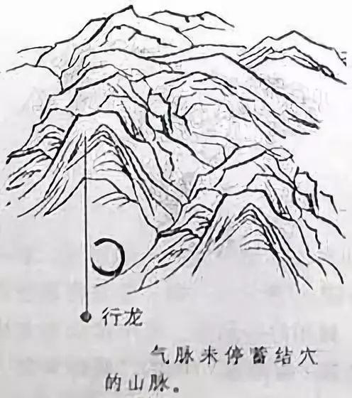 进龙：能量汇聚的象征