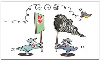 苍蝇暴动の玄学解读