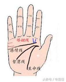 一、 手相学视角下的食指与财富