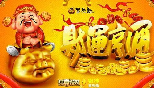 猪猪侠的快乐生活