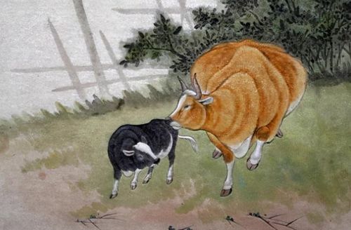 狗（生肖狗）