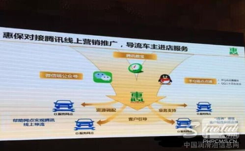 与探究背景