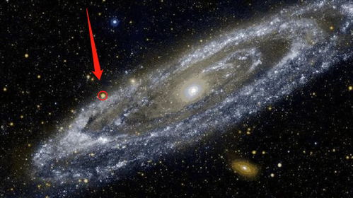 人类行为：微观层面与宏观层面的双重考量