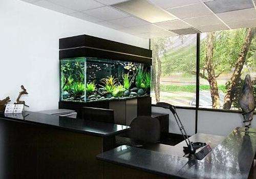 1.2 背靠空门的心理效应