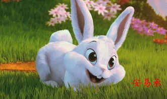 属兔女性性格是否恶劣？属兔天蝎男性性格深度解析具体是什么？