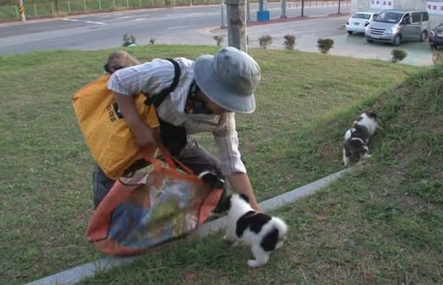 1. 瘸腿男子坠地事件