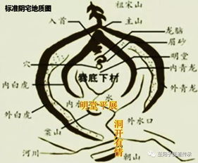 四、穴位的精准甄选