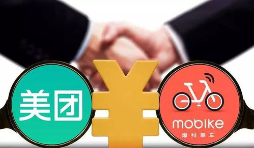 2. 巳亥相冲对生肖的差异化影响