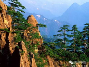 七、 噪音&情感混杂—真实用户吐槽集锦（精选）