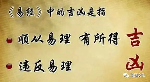 曾仕强所说的不问吉凶与叩问天意之间有何关联？