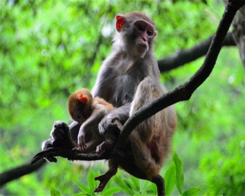 老祖宗的封建迷信还是人生智慧？