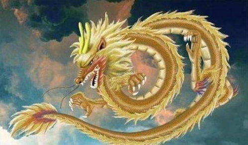 2026年属龙的人犯太岁，龙冲哪个生肖是什么意思？