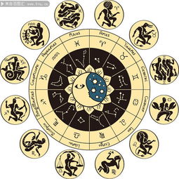 生肖星象与名号运势的深层耦合机制