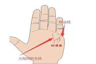 二、 手相中的“门当户对”纹路——财政线的辨识及其意义