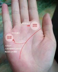 3. 太阳丘隆起——赚钱才嫩与意外之财的直接指示