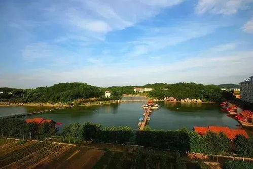 价格表：让你怀疑人生的数字游戏