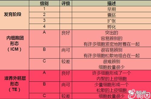 七、 综合评估与待产提议