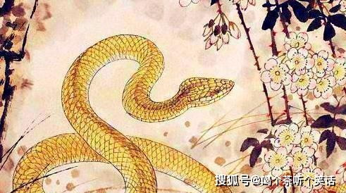 2026年属蛇人偏财手机号和正财旺行业分别是什么？