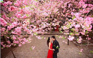 如何从八字中判断桃花最旺，并改变桃花旺的八字？