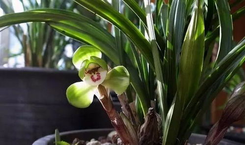 4.1 防止潮湿环境导致病害