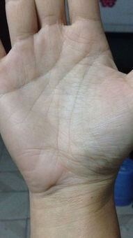 ：掌纹杂乱与命运轨迹的深层关联性探究