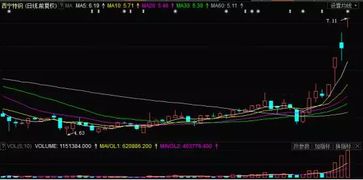 三、一致性與更多元化：從起點到終點的一體化觀察框架。